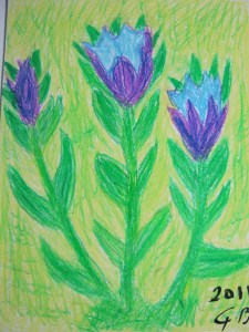 köyümüzün lalesi